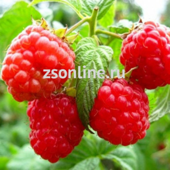 Изображение загружено обработкой по данным файла Excel