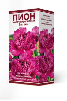 pion_moloch_big_ben_3D