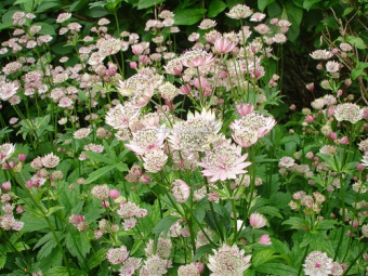 Изображение загружено обработкой по данным файла Excel