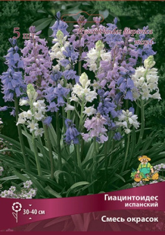 Гиацинтоидес испанский 6-7/К 10шт