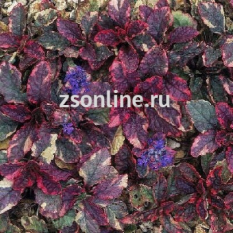 Изображение загружено обработкой по данным файла Excel