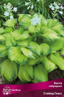 Изображение загружено обработкой по данным файла Excel