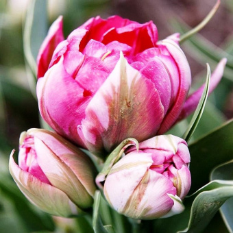 16153180fb89d402bd457c31d952eee6