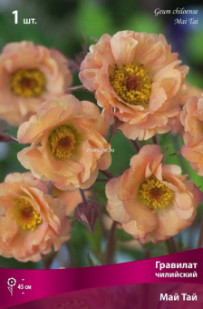 Изображение загружено обработкой по данным файла Excel