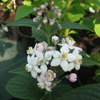 Изображение загружено обработкой по данным файла Excel