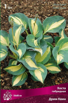 Изображение загружено обработкой по данным файла Excel