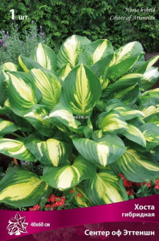 Изображение загружено обработкой по данным файла Excel