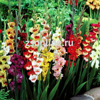 Изображение загружено обработкой по данным файла Excel