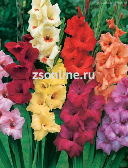 Изображение загружено обработкой по данным файла Excel