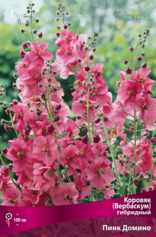 Изображение загружено обработкой по данным файла Excel