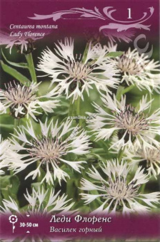 Изображение загружено обработкой по данным файла Excel