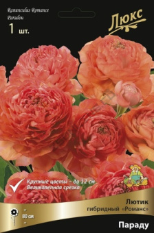 Лютик гибридный Романс Параду*/К