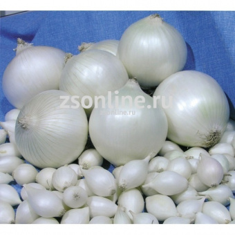 Изображение загружено обработкой по данным файла Excel