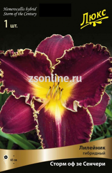 Изображение загружено обработкой по данным файла Excel