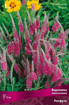 Изображение загружено обработкой по данным файла Excel