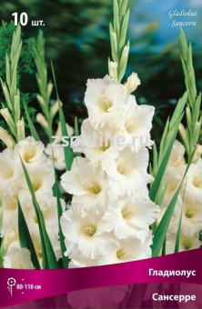 Изображение загружено обработкой по данным файла Excel