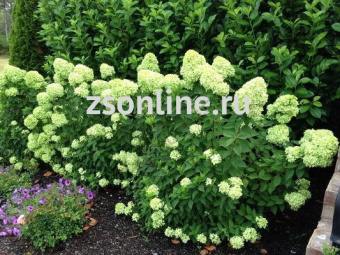 Изображение загружено обработкой по данным файла Excel