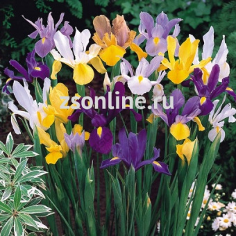 Изображение загружено обработкой по данным файла Excel