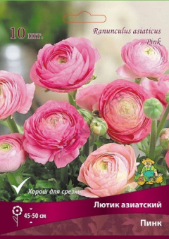 Лютик азиатский Пинк 7-8/К 10шт