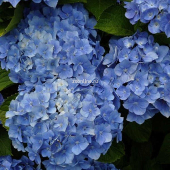 Изображение загружено обработкой по данным файла Excel