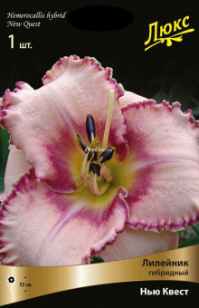 Изображение загружено обработкой по данным файла Excel