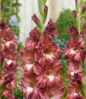 1484799531b3b0f78e7fb4120d7bd65102893ade1a