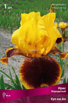 Изображение загружено обработкой по данным файла Excel