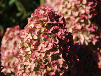 63721af98e277351cf7543da9284603a