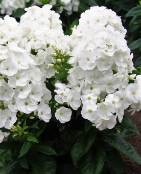 d3d409b1457e90f4d37f70f8eb3f309b