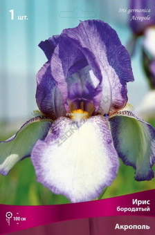 Изображение загружено обработкой по данным файла Excel