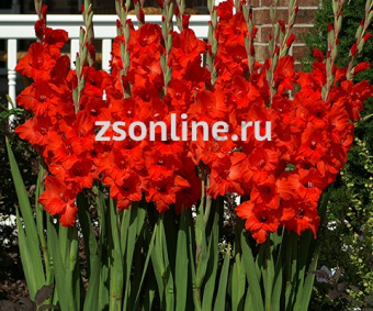 Изображение загружено обработкой по данным файла Excel