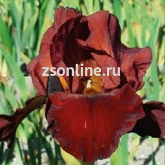 Изображение загружено обработкой по данным файла Excel