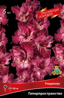 gladiolus_giperprostranstvo_kaper