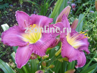 Изображение загружено обработкой по данным файла Excel