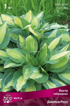 Изображение загружено обработкой по данным файла Excel