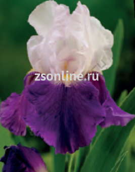 Изображение загружено обработкой по данным файла Excel