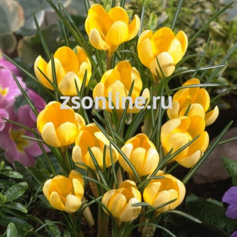 Изображение загружено обработкой по данным файла Excel