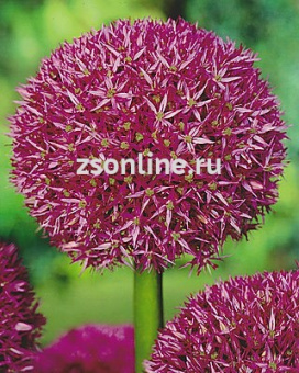 Изображение загружено обработкой по данным файла Excel