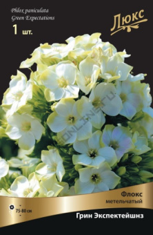 floks_metelch_grin_ekspekte_kaper