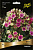 Флокс метельчатый Ауреоле (двухцветный,ярко-розовый со светлой салатовой окантовкой,1шт, I), П/№
