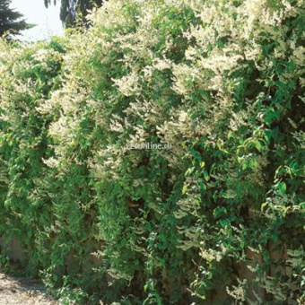 Изображение загружено обработкой по данным файла Excel