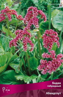 Изображение загружено обработкой по данным файла Excel