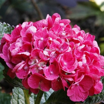 Изображение загружено обработкой по данным файла Excel