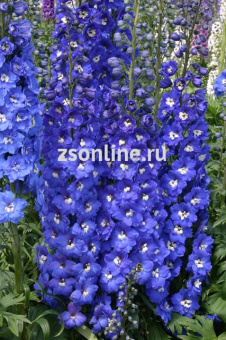 Изображение загружено обработкой по данным файла Excel