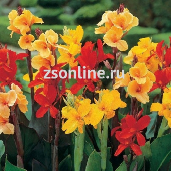 Изображение загружено обработкой по данным файла Excel