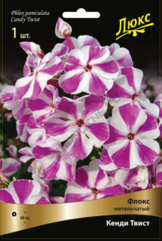 floks_metelch_kendy_twist_kaper