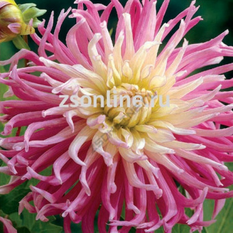 Изображение загружено обработкой по данным файла Excel