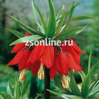 Изображение загружено обработкой по данным файла Excel