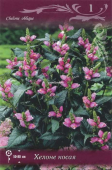 Изображение загружено обработкой по данным файла Excel