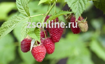 Изображение загружено обработкой по данным файла Excel